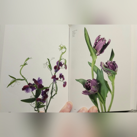 Flower Color Guide By Darroch And Michael Putnam - Picture 3 of 8